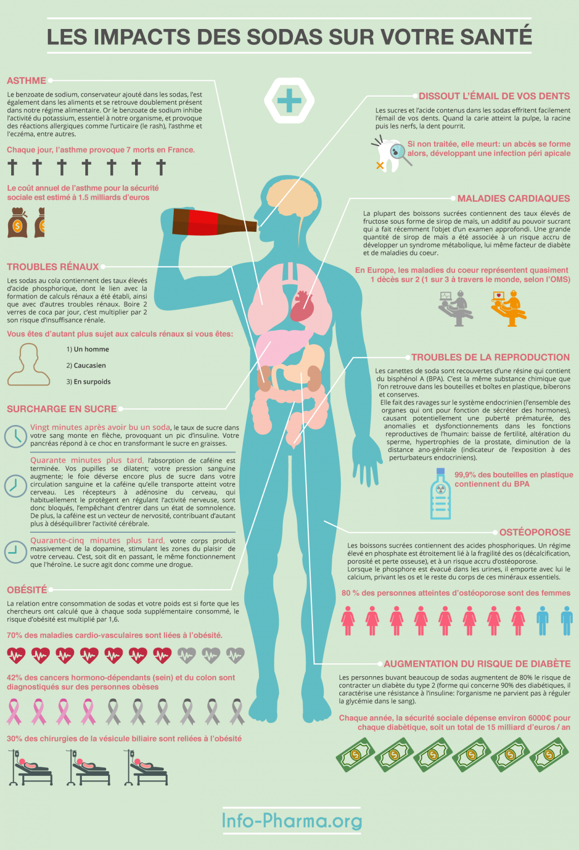 Coca-Cola, a dangerous and carcinogenic drink - Page 2 of 2 - Food Alerts